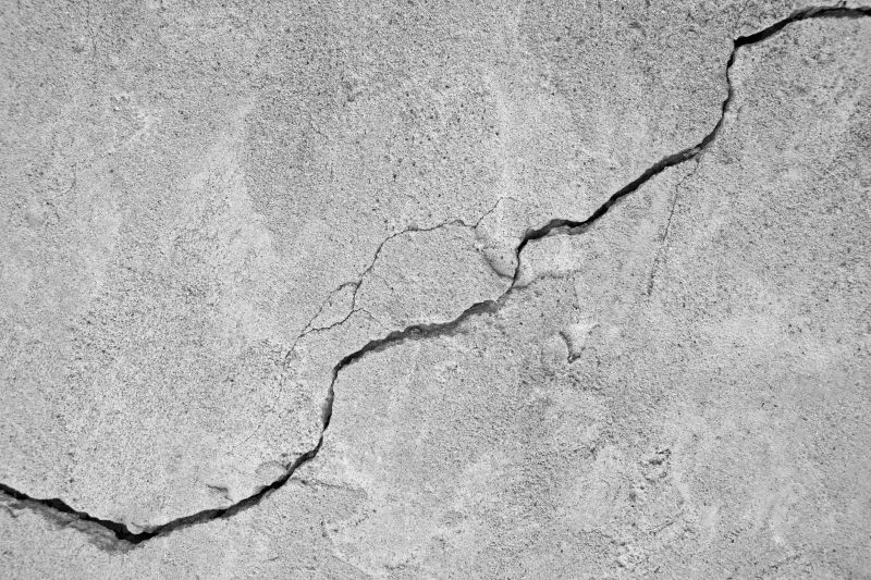 Repaired Cracks and Structural Reinforcement