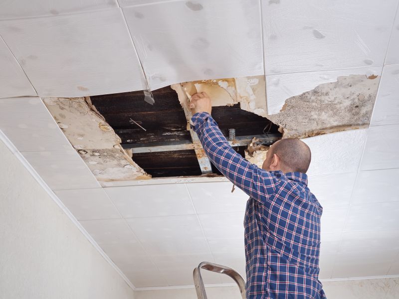 Kitchen Ceiling Repair in Alpharetta, GA