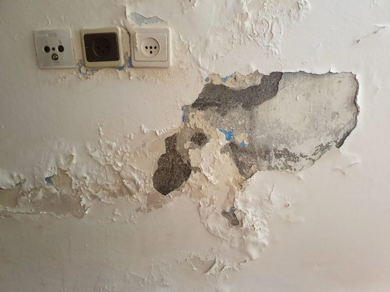 Certified Wall Restorers